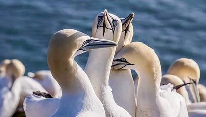 爱游戏手机游戏-街头篮球争霸赛，草根英雄同台竞技，街头篮球联赛